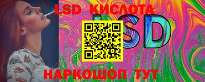 МДПВ Гусев