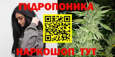 кокс Гусиноозёрск