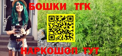 тгк Гусь-Хрустальный